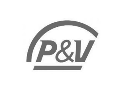 PT_website_klantenlogos_P&V